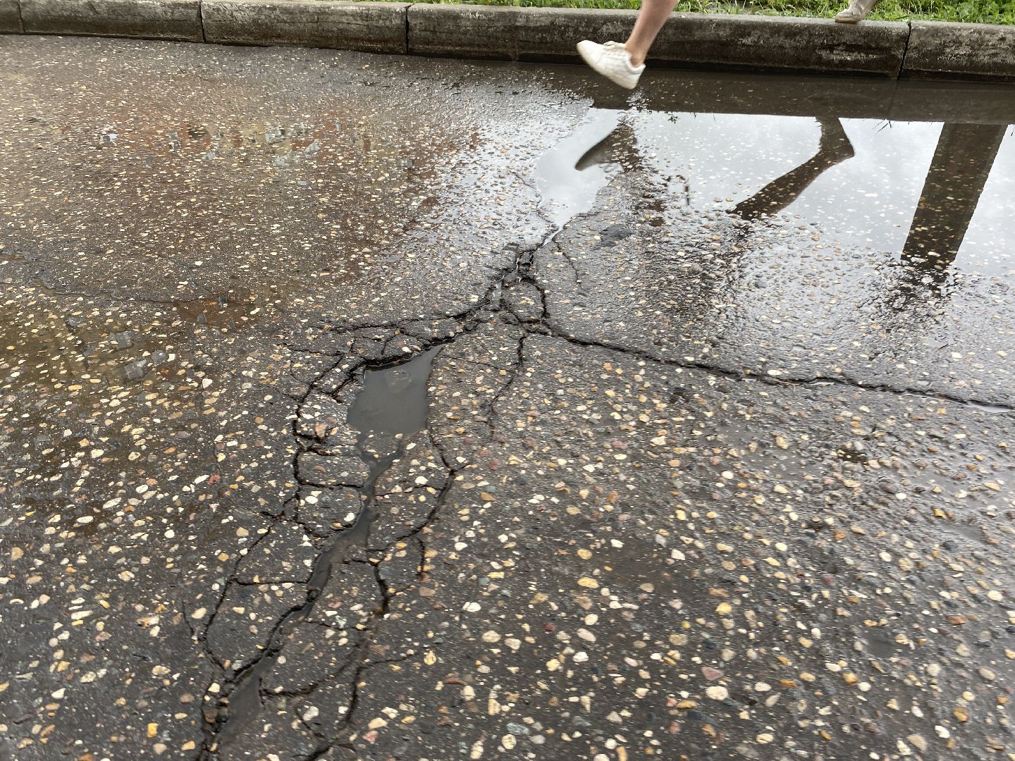 умный переход, проекционный прожектор, безопасность на дорогах, власиха БДД, Власиха Школьный,