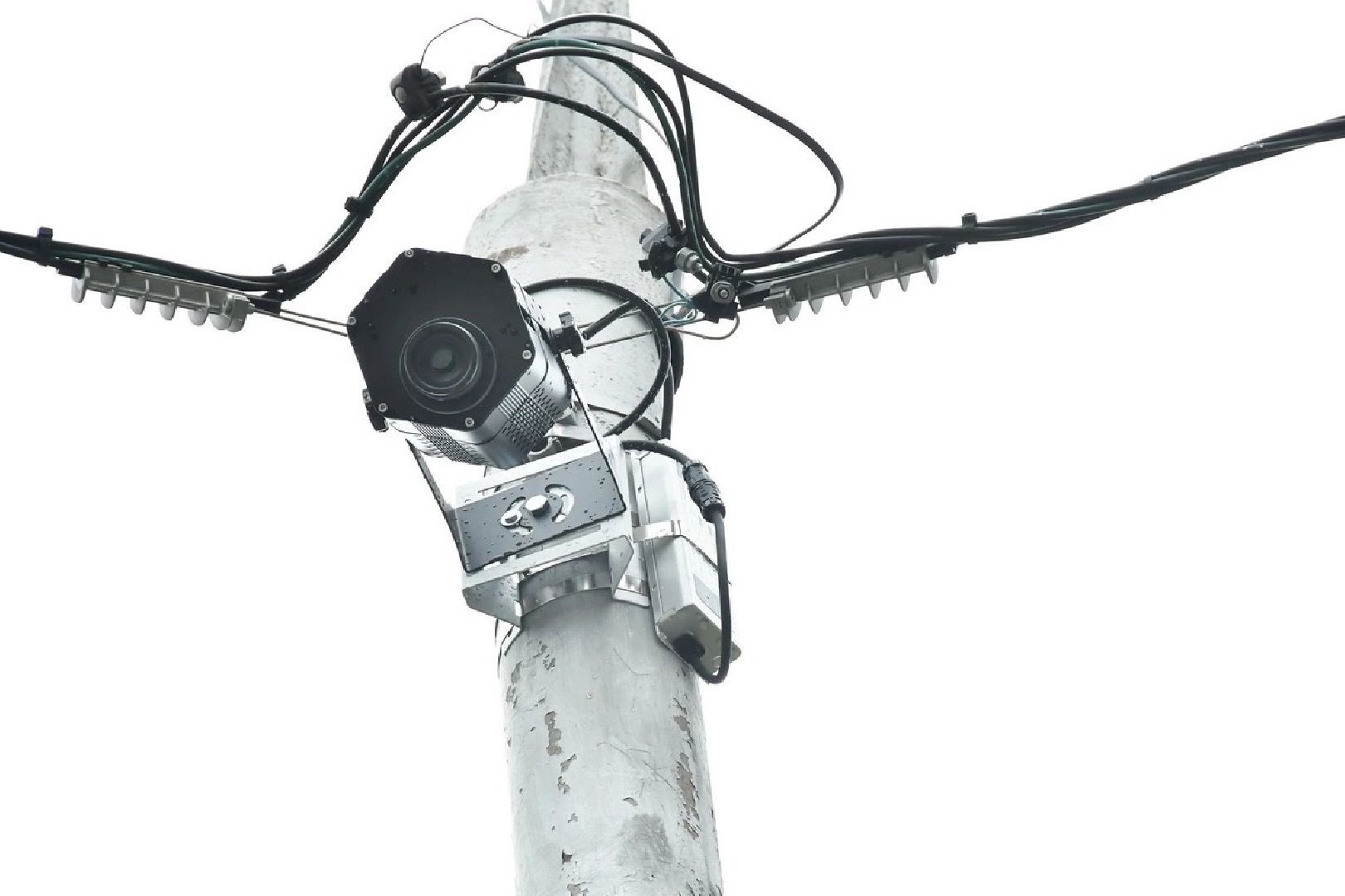 умный переход, проекционный прожектор, безопасность на дорогах, власиха БДД, Власиха Школьный,