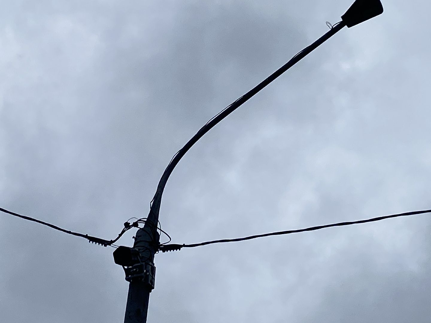 умный переход, проекционный прожектор, безопасность на дорогах, власиха БДД, Власиха Школьный,