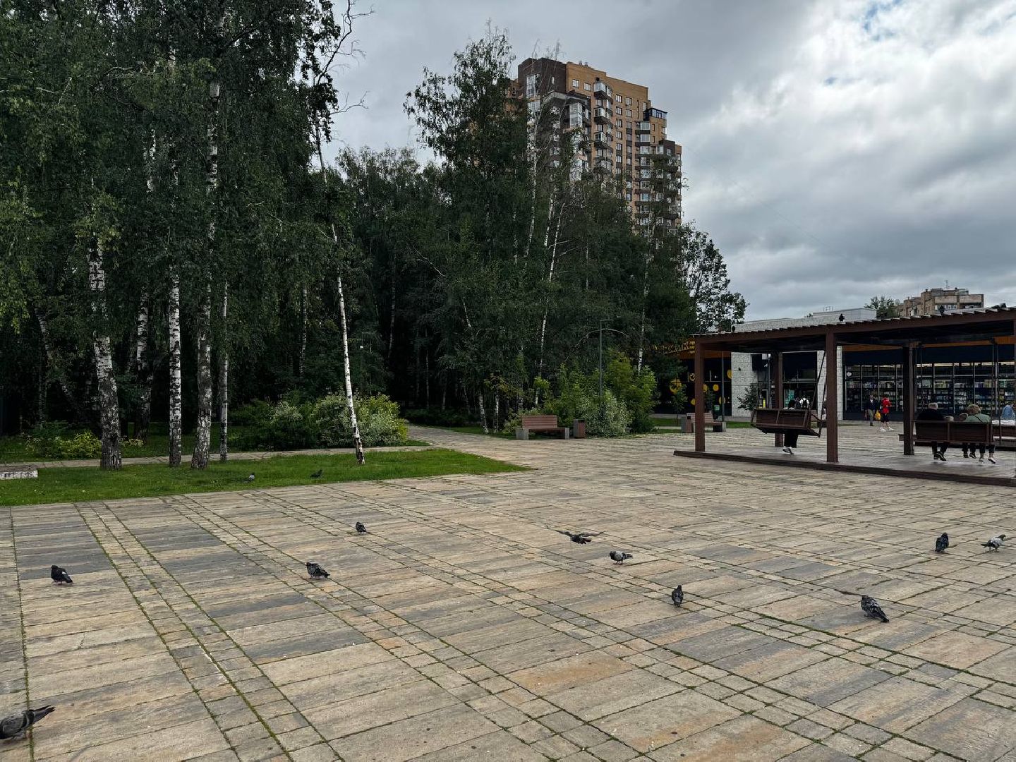 химки, выездная администрация, благоустройство, обращения жителей,