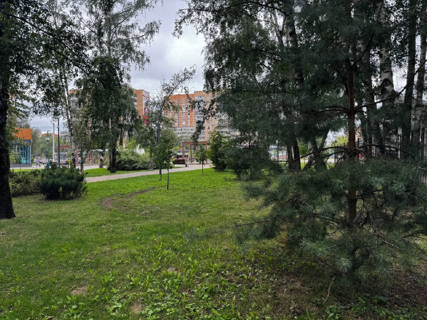 химки, выездная администрация, благоустройство, обращения жителей,