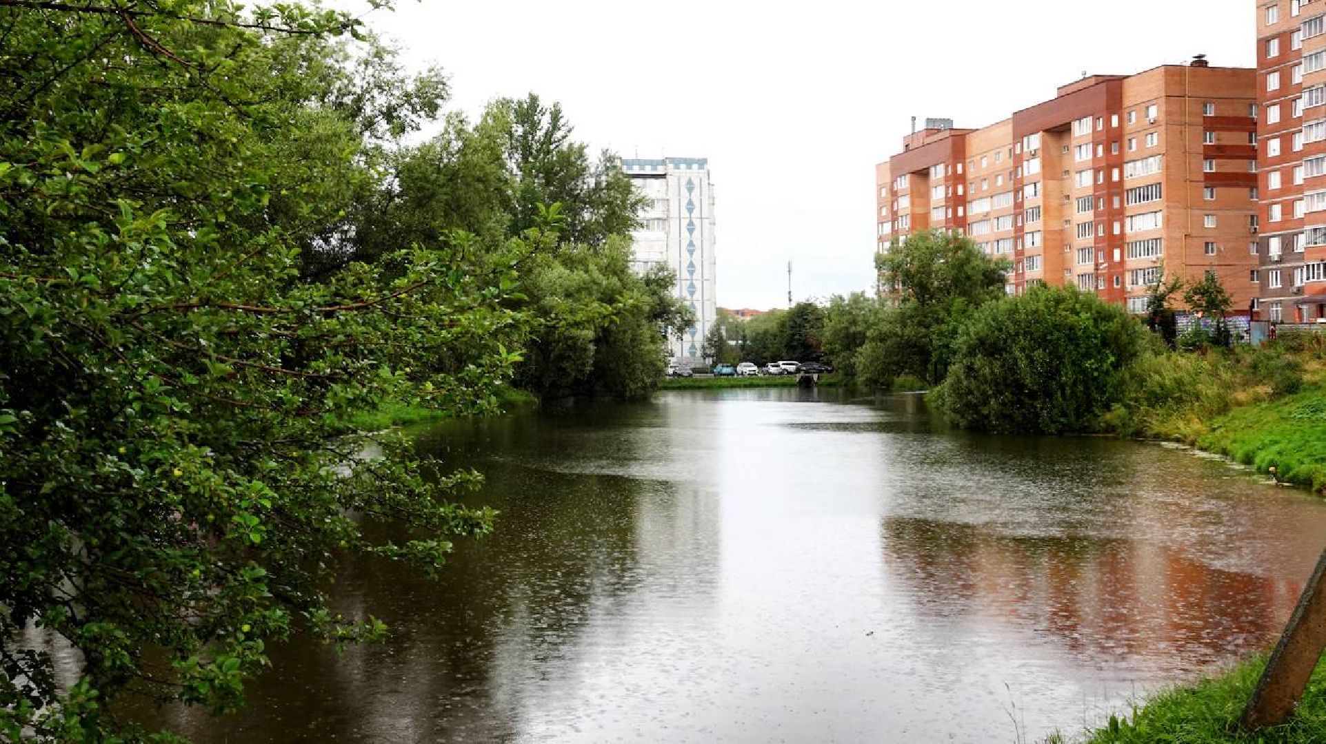 Экология, Минэкологии МО, Очистка водоемов,