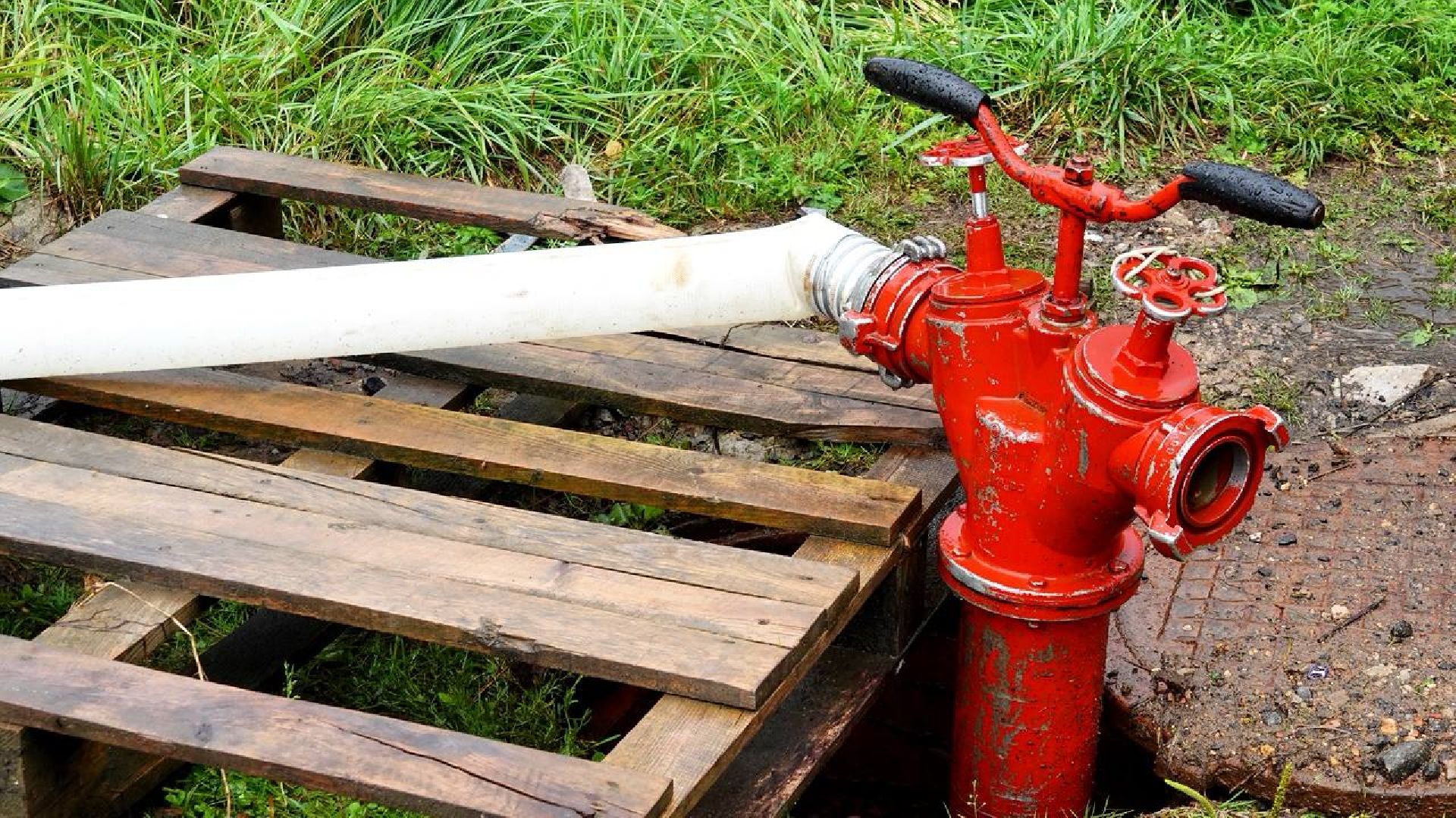 Экология, Минэкологии МО, Очистка водоемов,