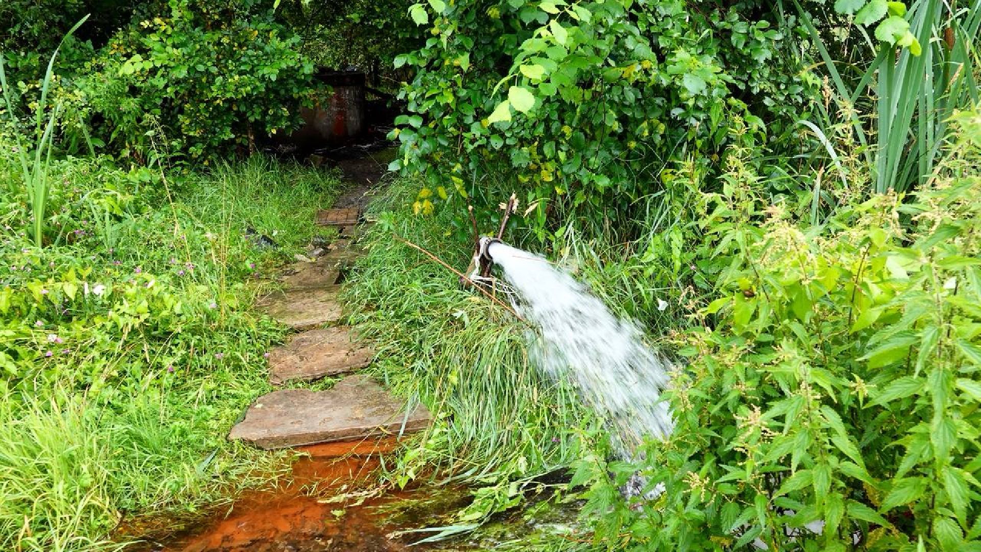 Экология, Минэкологии МО, Очистка водоемов,