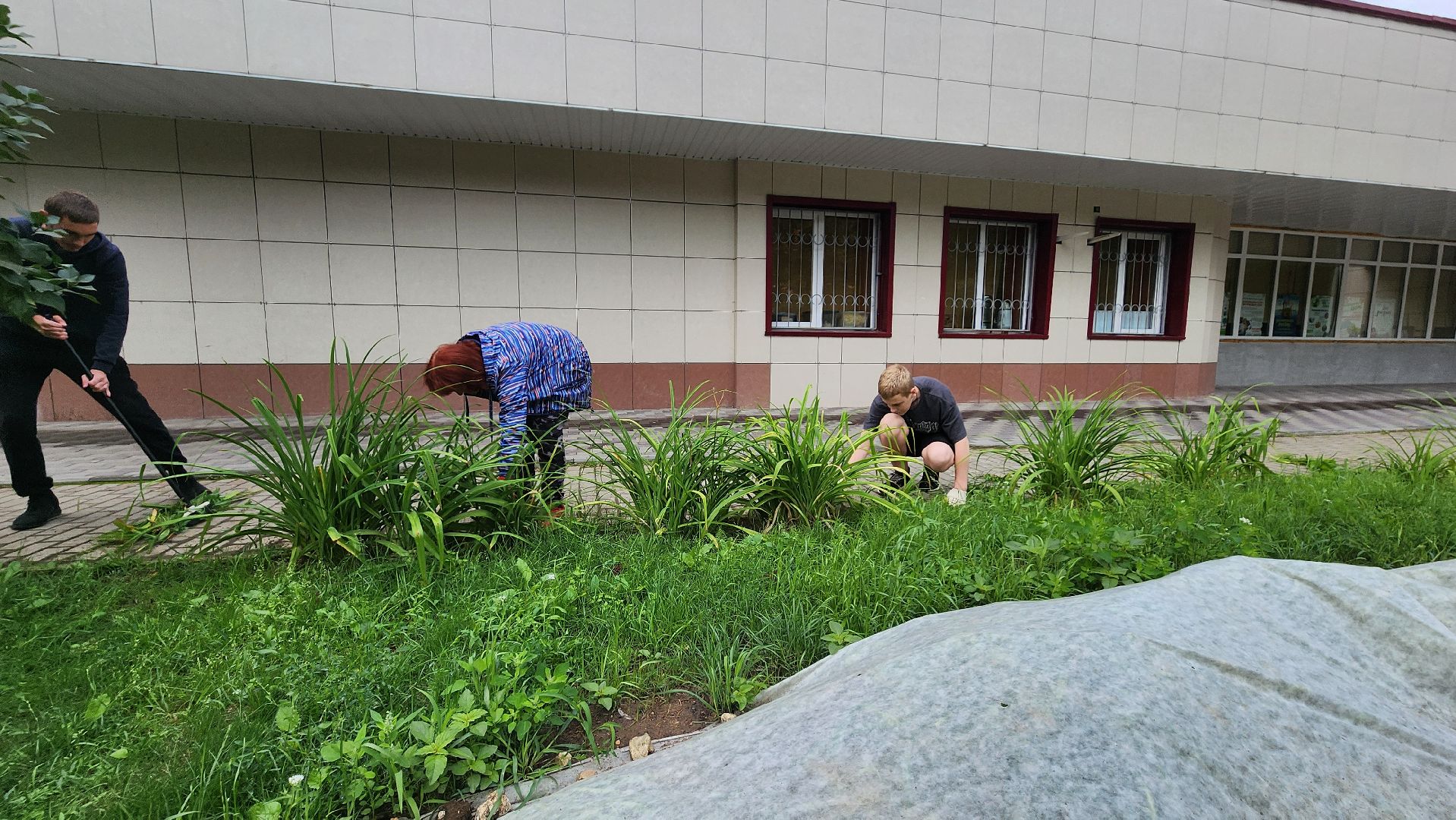 дворец молодежи, молодежь, трудовые бригады, протвино, благоустройство,