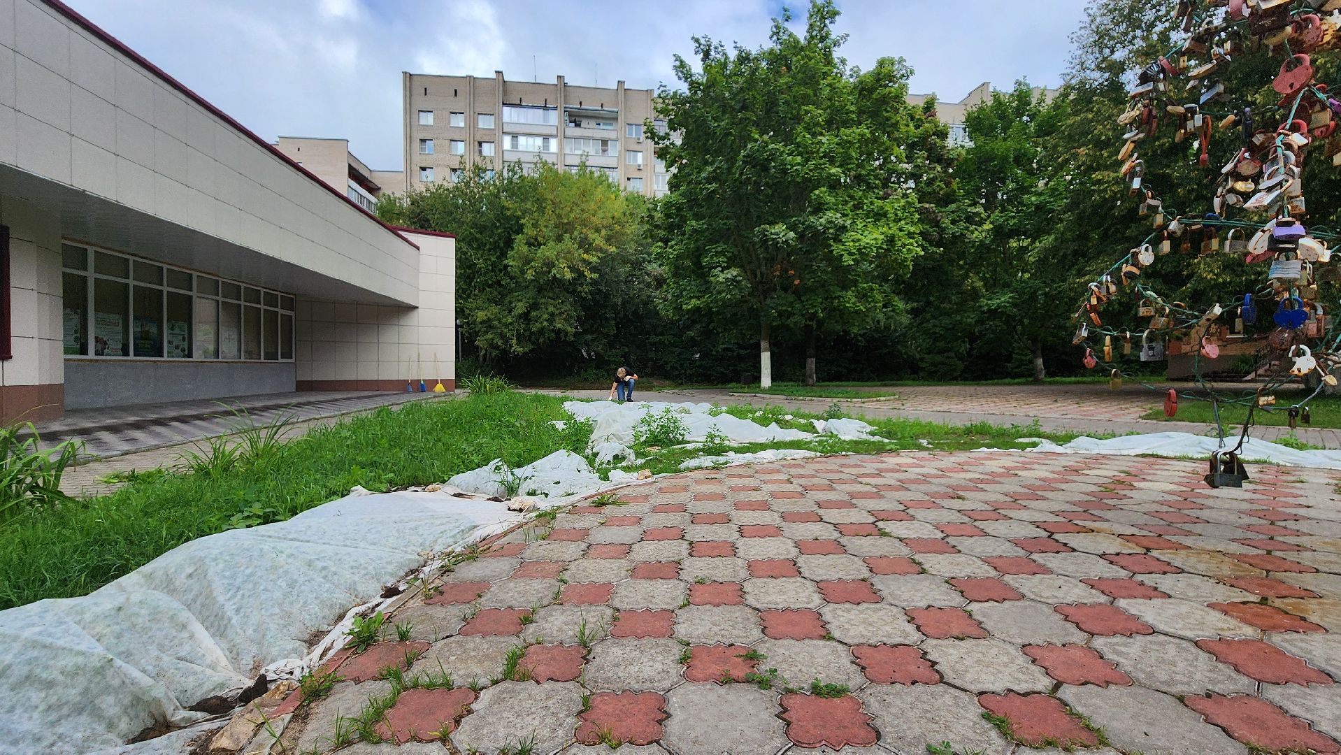 дворец молодежи, молодежь, трудовые бригады, протвино, благоустройство,