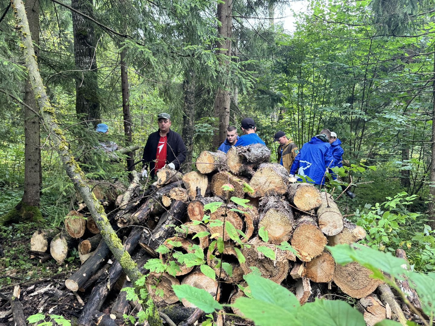 шаховская, лесничество, акция чистый лес, экологии, экологическая акция,