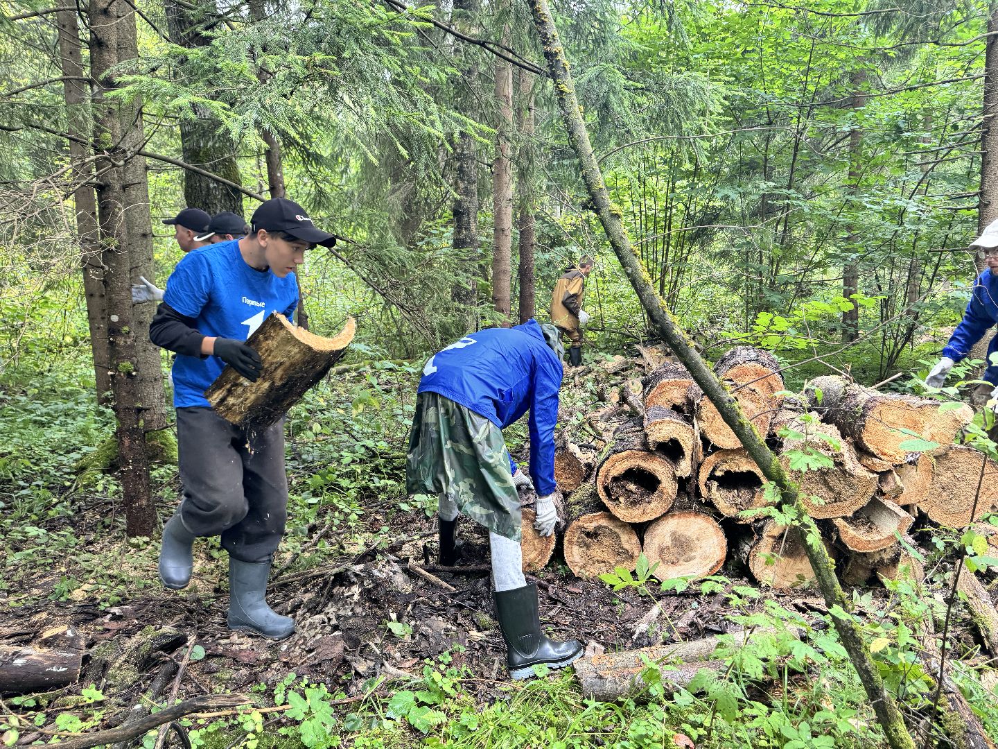 шаховская, лесничество, акция чистый лес, экологии, экологическая акция,