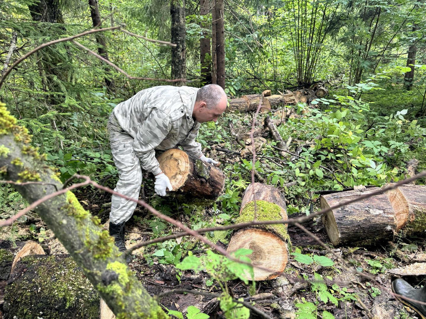 шаховская, лесничество, акция чистый лес, экологии, экологическая акция,