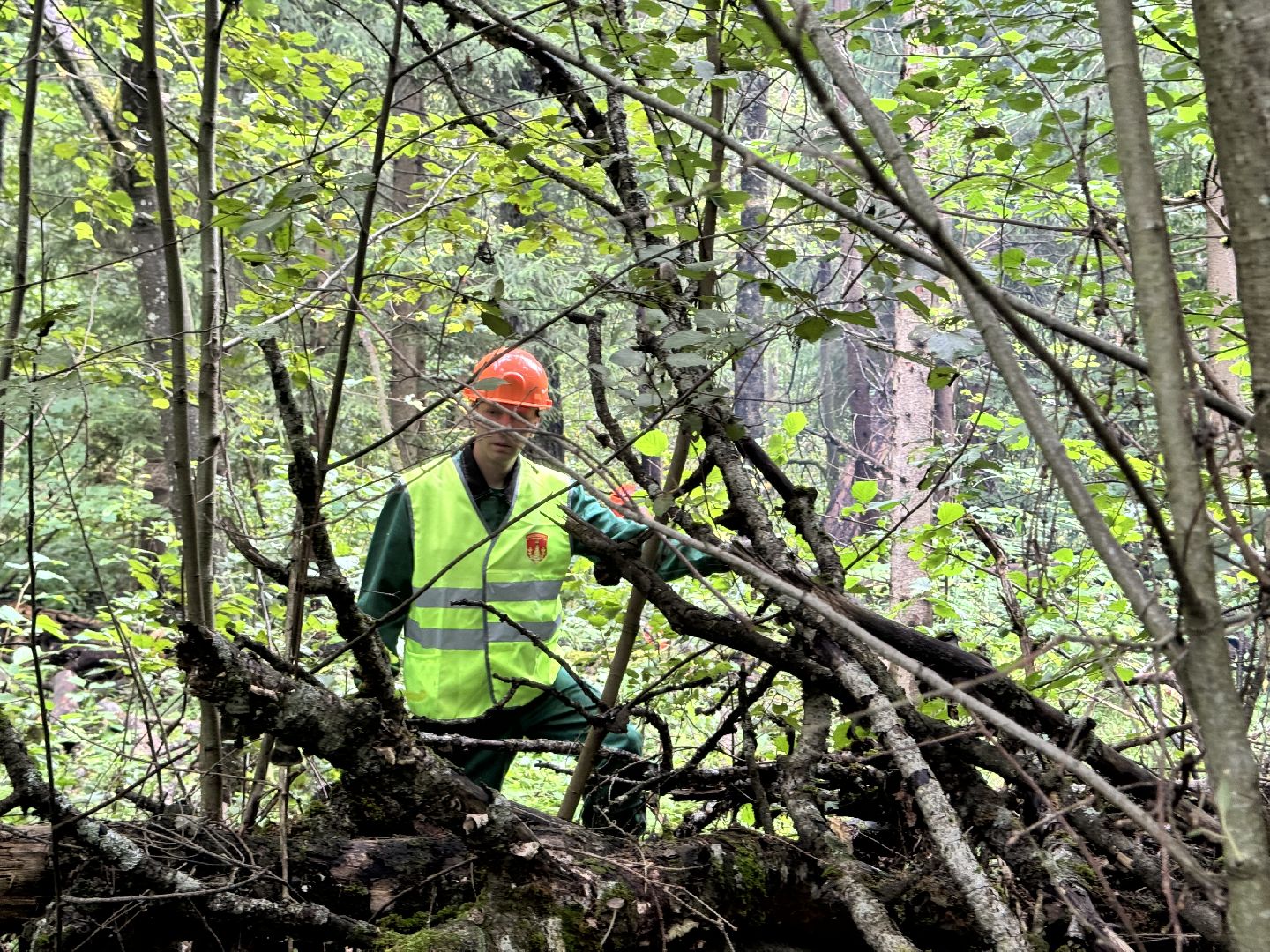 шаховская, лесничество, акция чистый лес, экологии, экологическая акция,