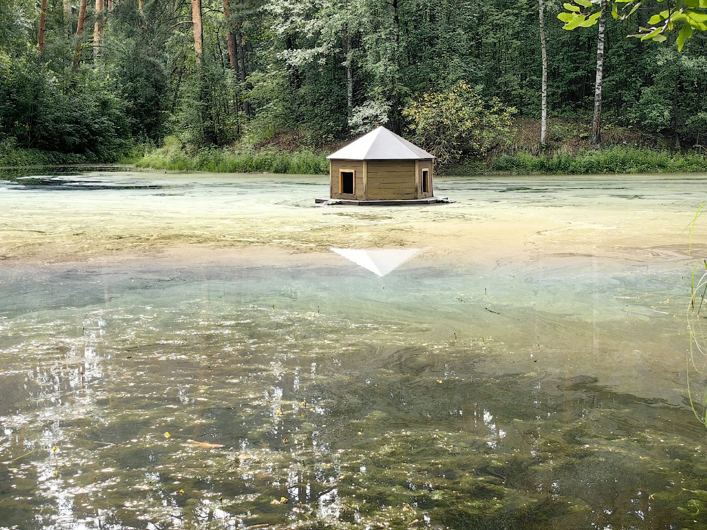 домик для уток, плавающий домик, пруд, потомство, щёлково,