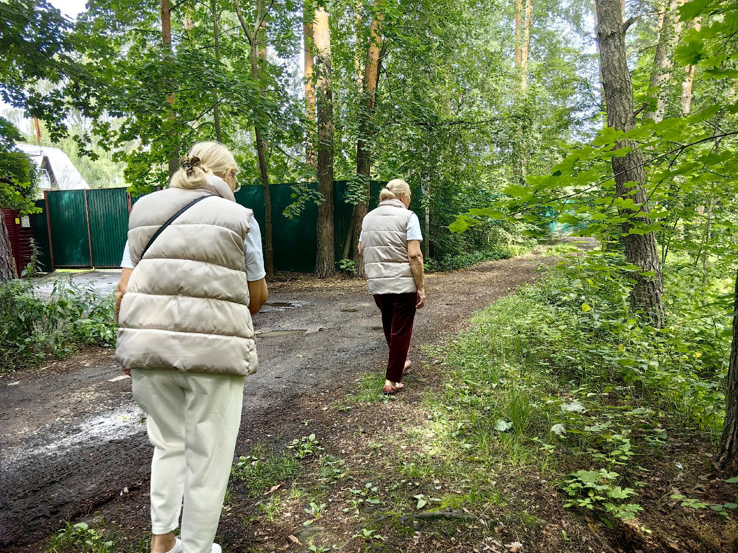 домик для уток, плавающий домик, пруд, потомство, щёлково,
