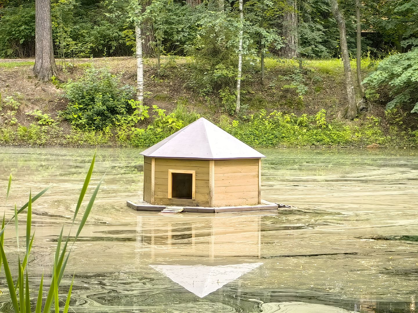 домик для уток, плавающий домик, пруд, потомство, щёлково,