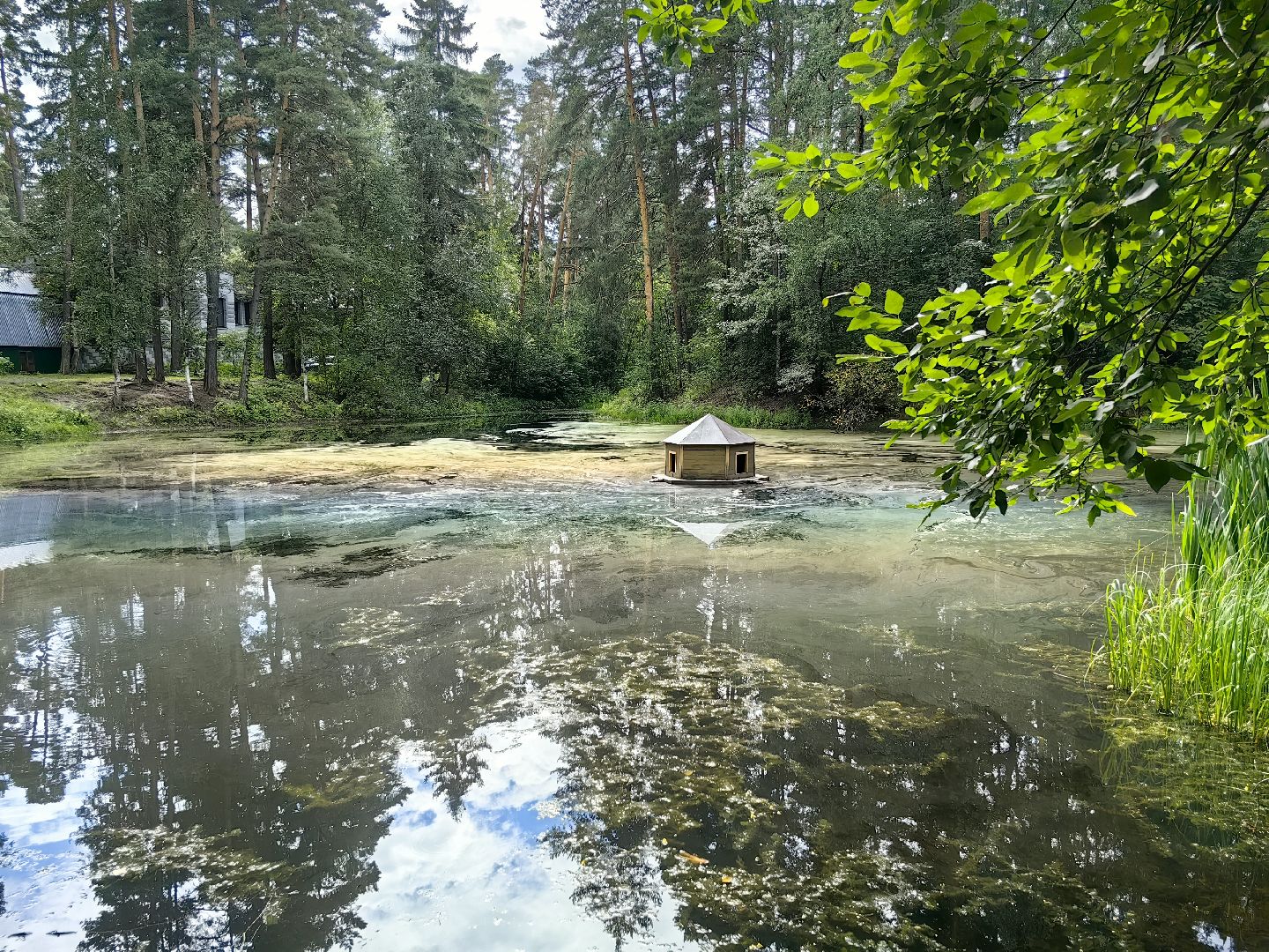 домик для уток, плавающий домик, пруд, потомство, щёлково,