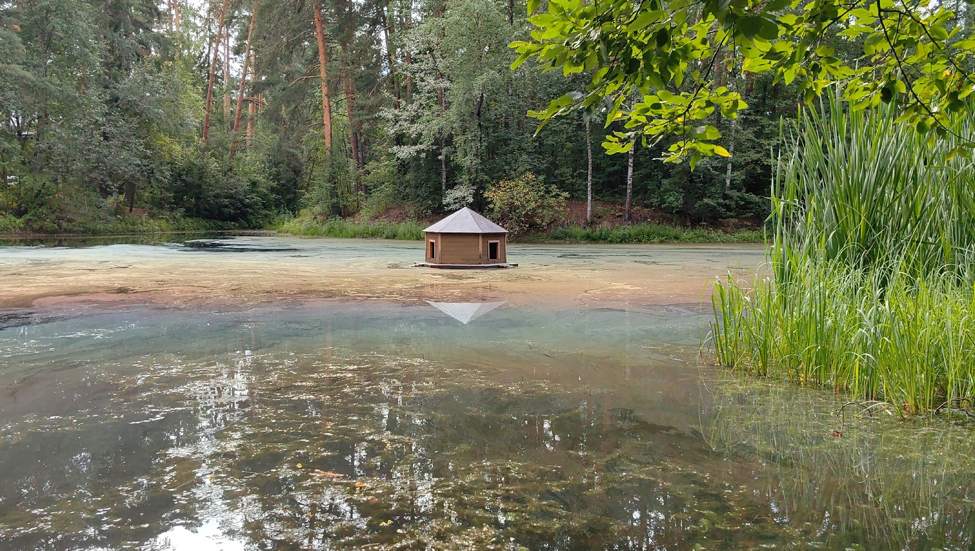 домик для уток, плавающий домик, пруд, потомство, щёлково,