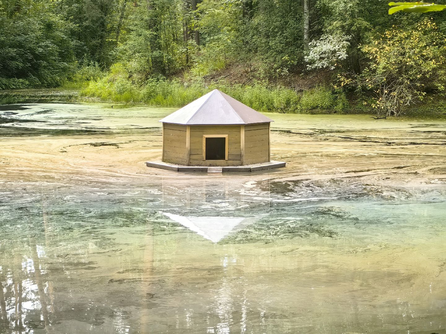 домик для уток, плавающий домик, пруд, потомство, щёлково,