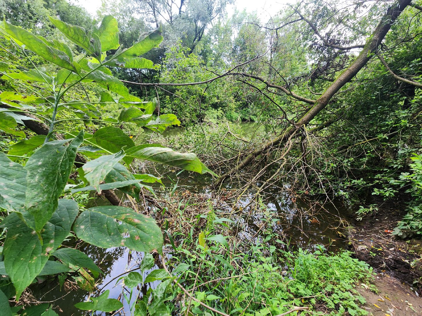 Коломна, экологическая акция, вода россии,