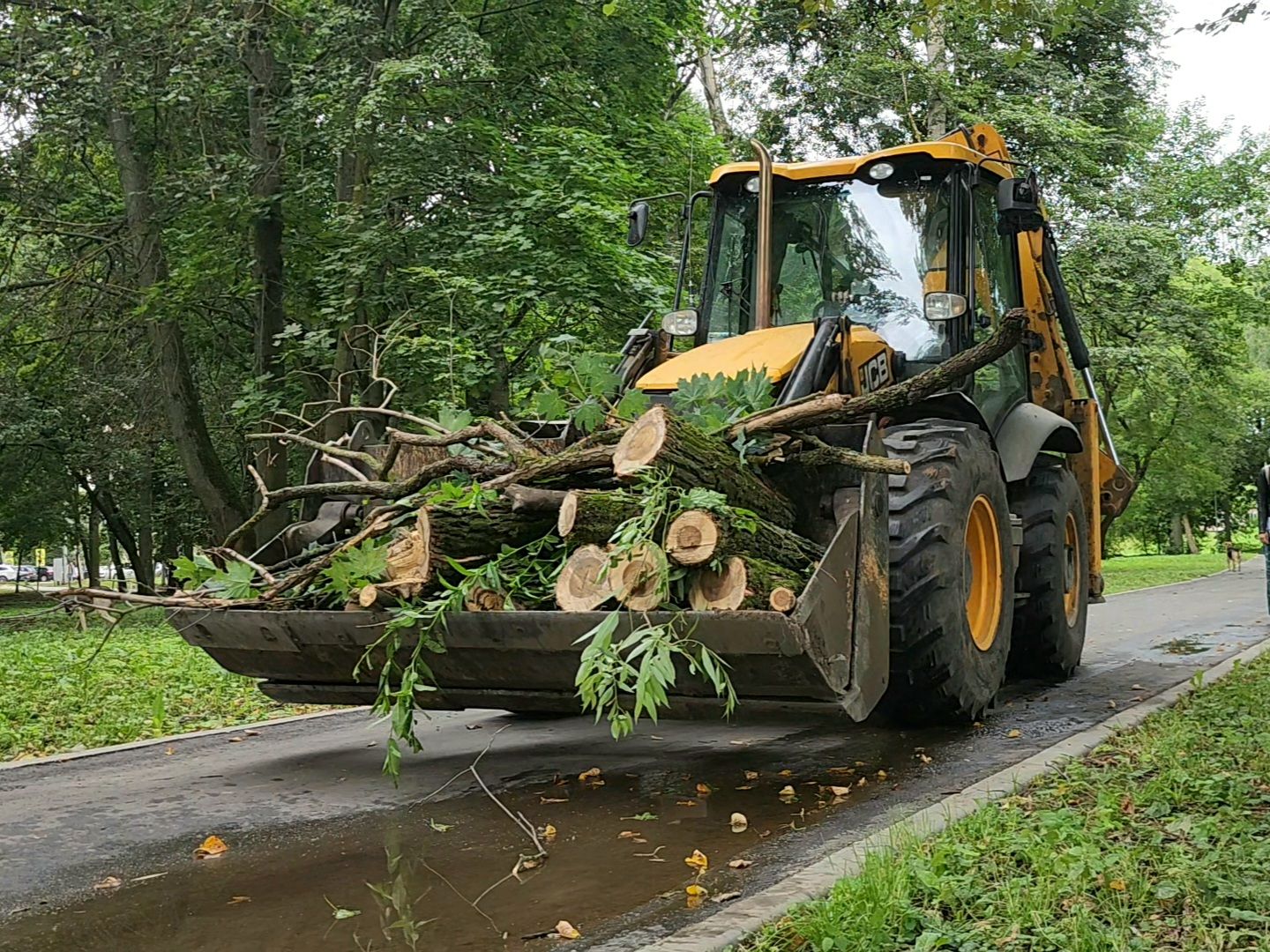 Коломна, экологическая акция, вода россии,