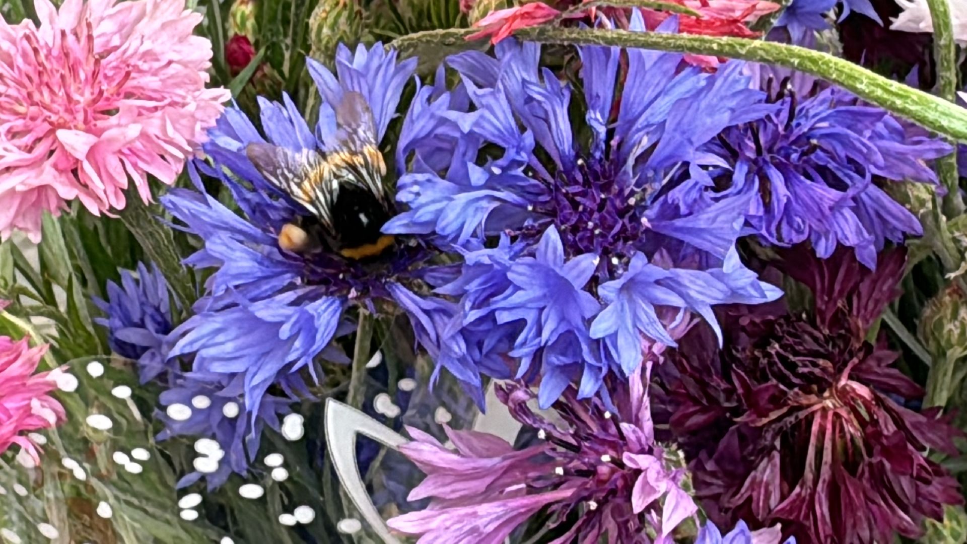 Одинцово, Мини-базарчик, одинцовское подворье,