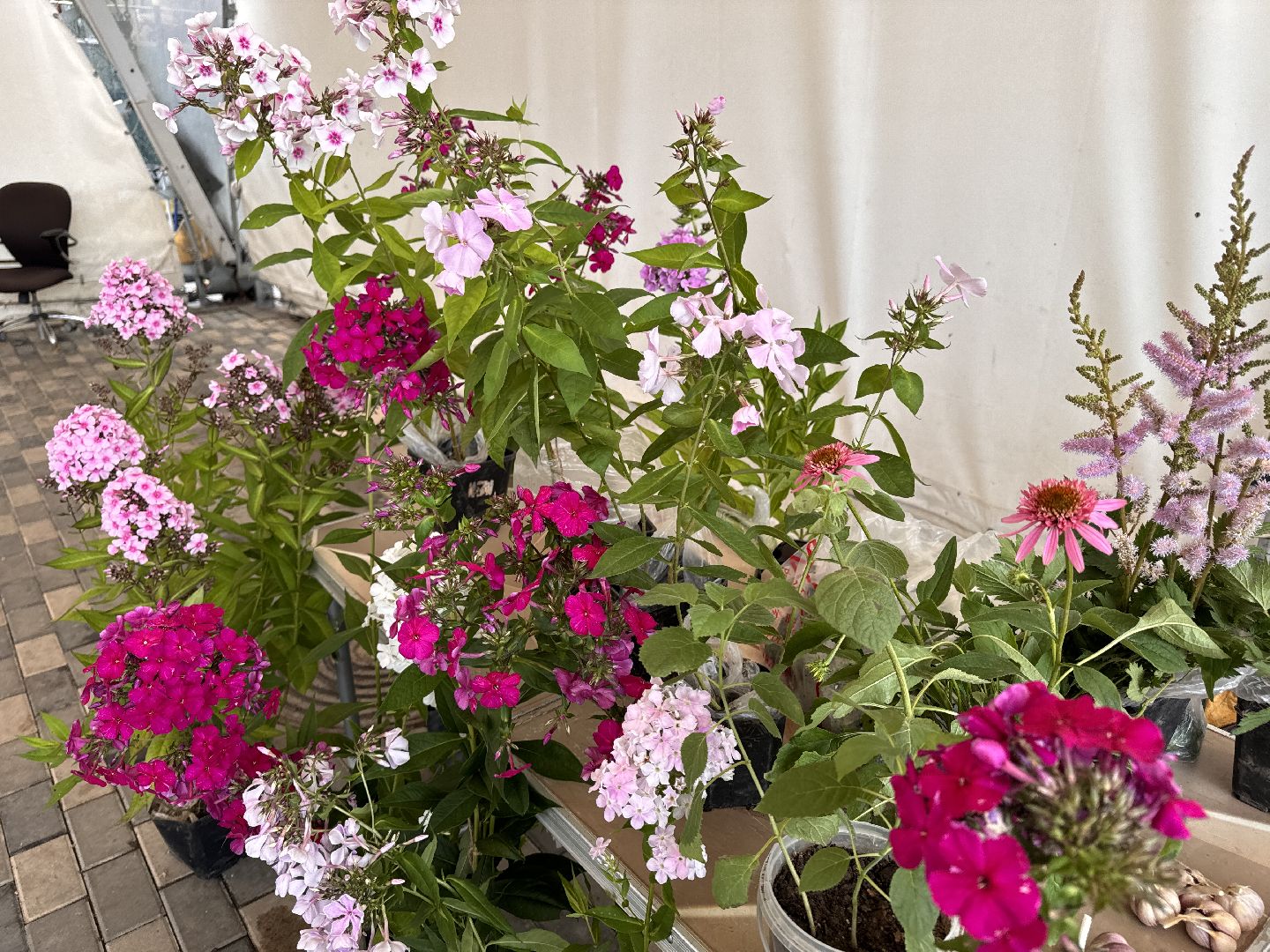 Одинцово, Мини-базарчик, одинцовское подворье,