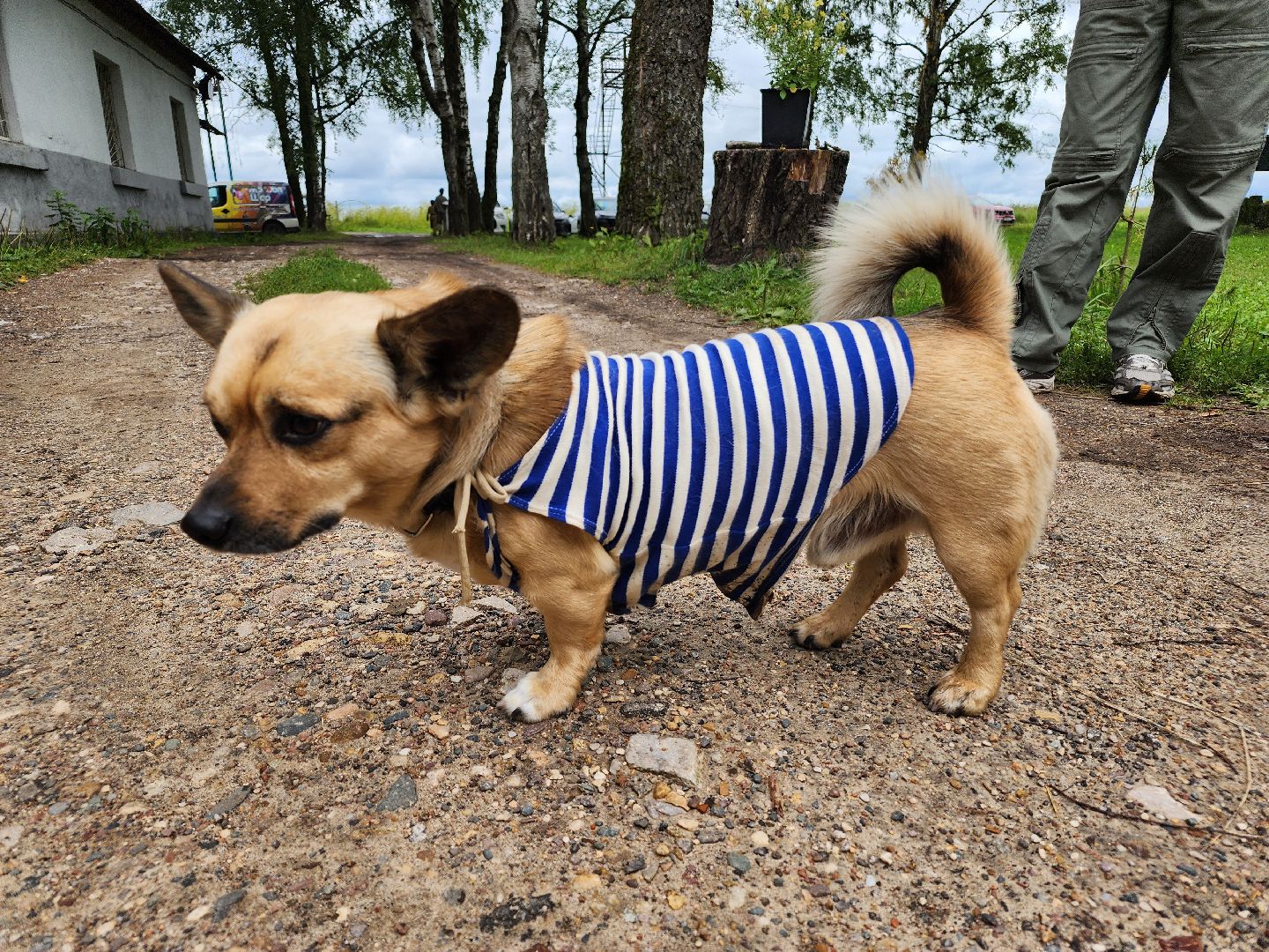 волоколамск, Алферьево, день вдв, праздник,