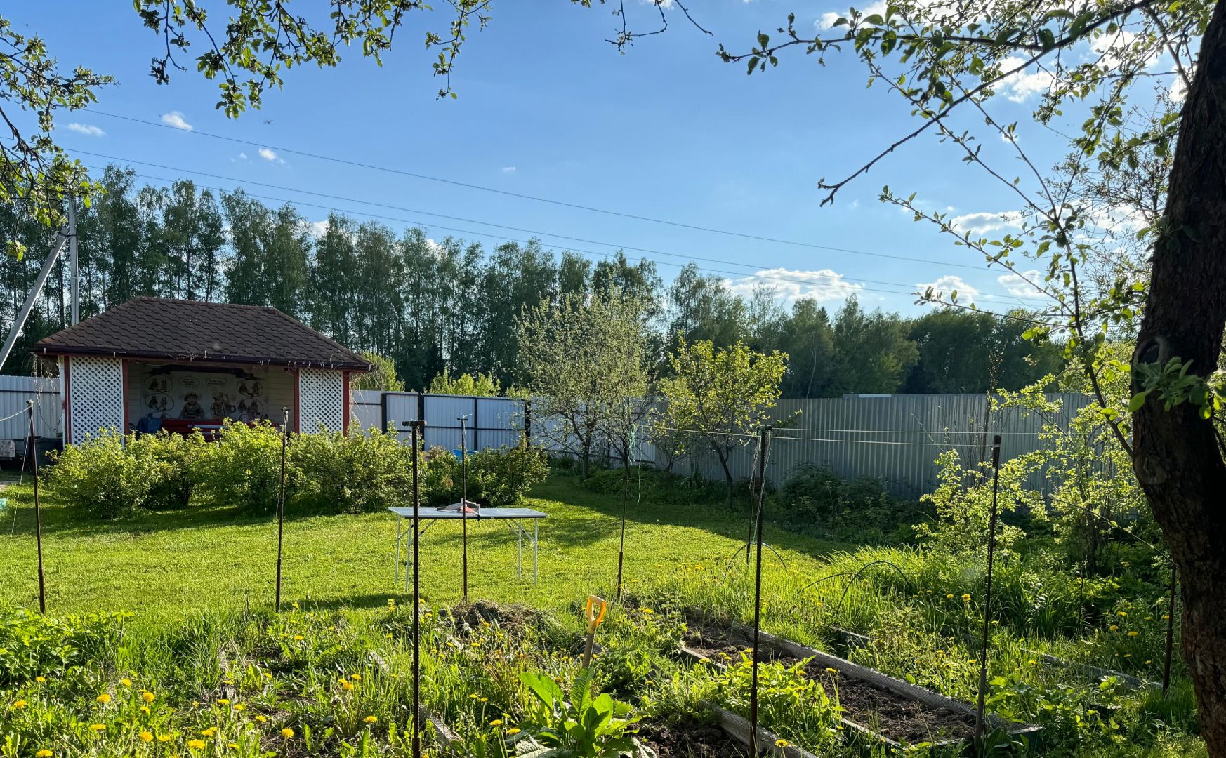 Звенигород, Общество, фотоконкурс,