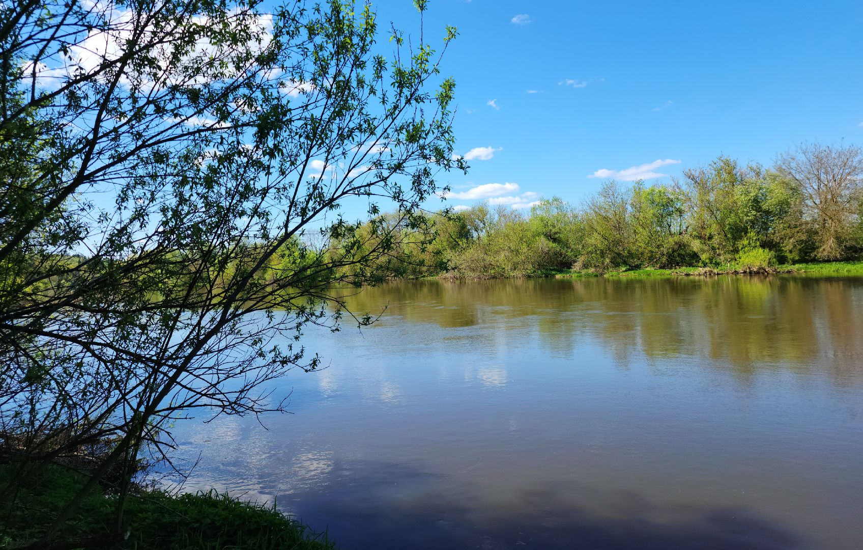 Звенигород, Общество, фотоконкурс,