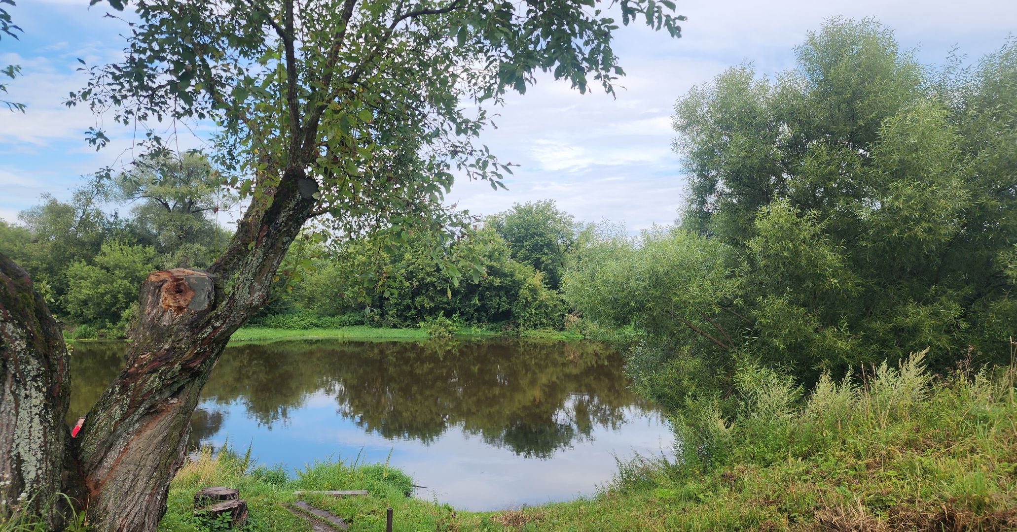 Звенигород, Общество, фотоконкурс,