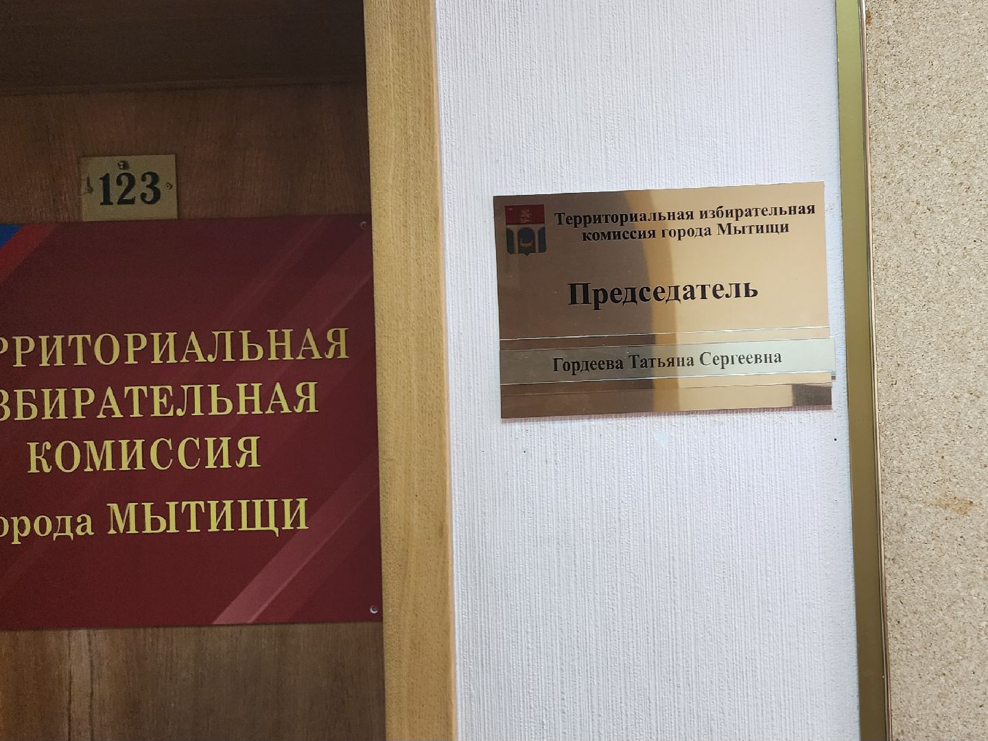 местные выборы, территориальная избирательная комиссия, мытищи, выборы,