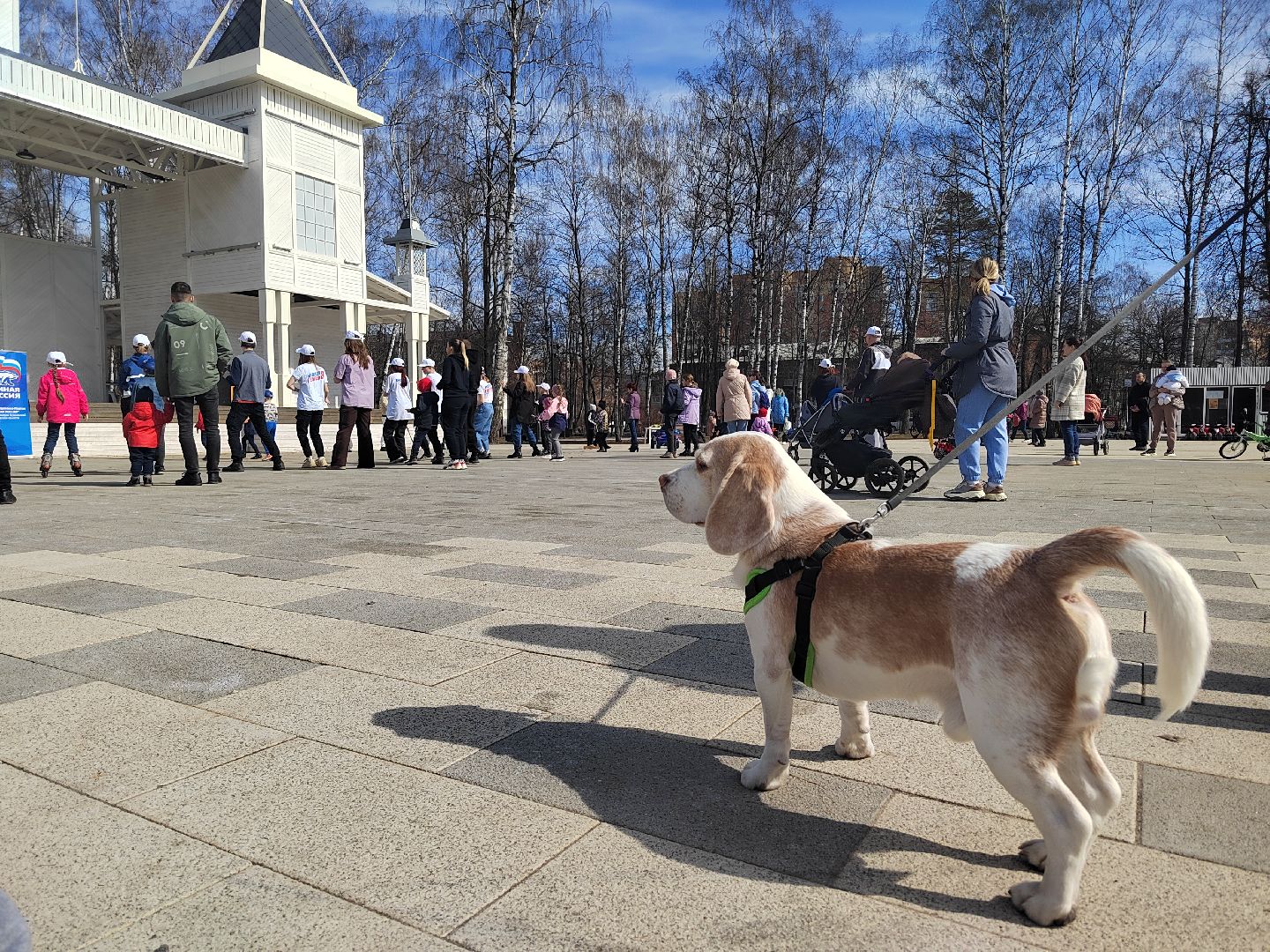 Пушкино, Пушкинский округ, спорт, акция, Единая Россия, Молодая гвардия, МГЕР, МГЕРМО, волонтеры, молодежь, весна в Подмосковье