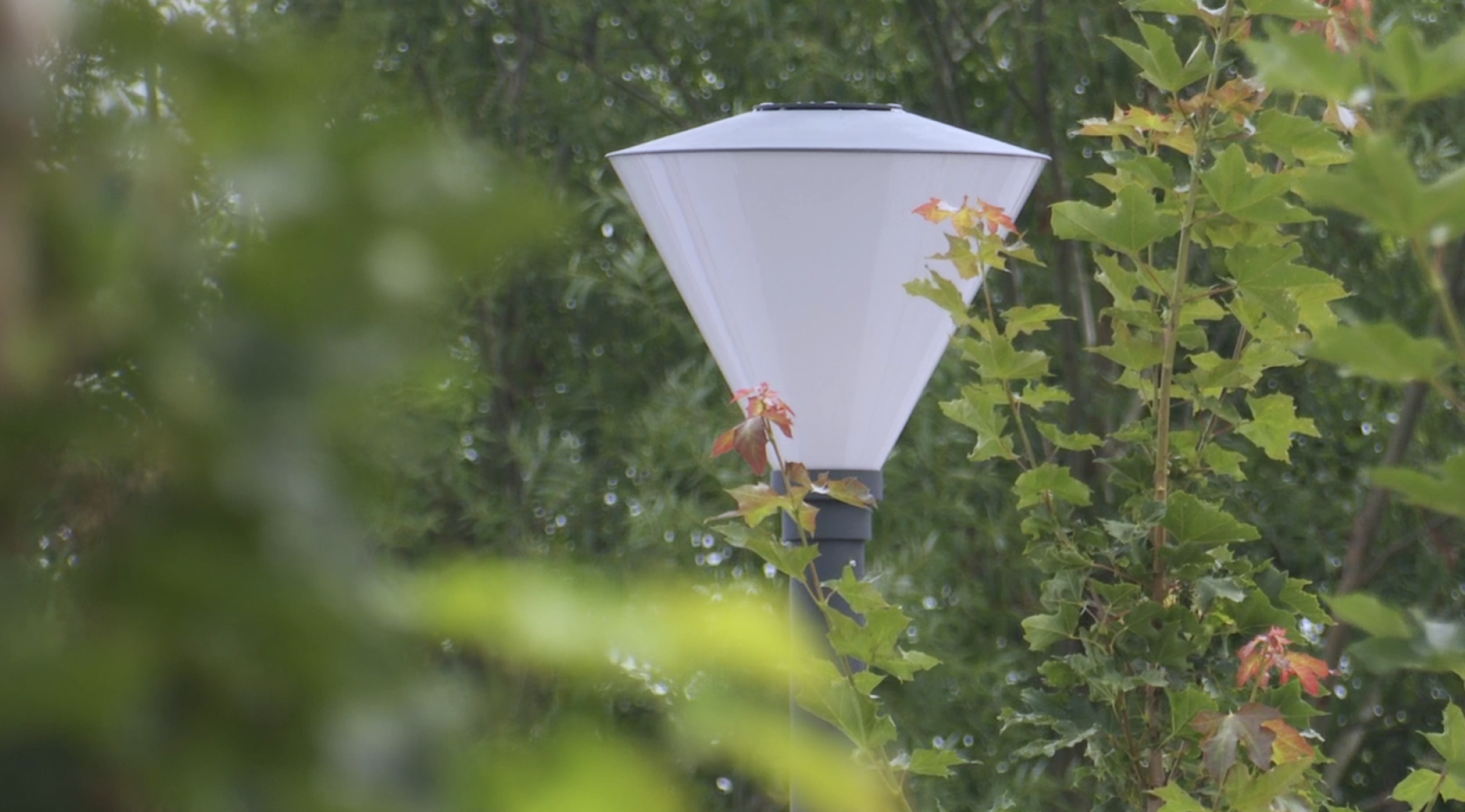 Клин, общество, благоустройство, скверы,