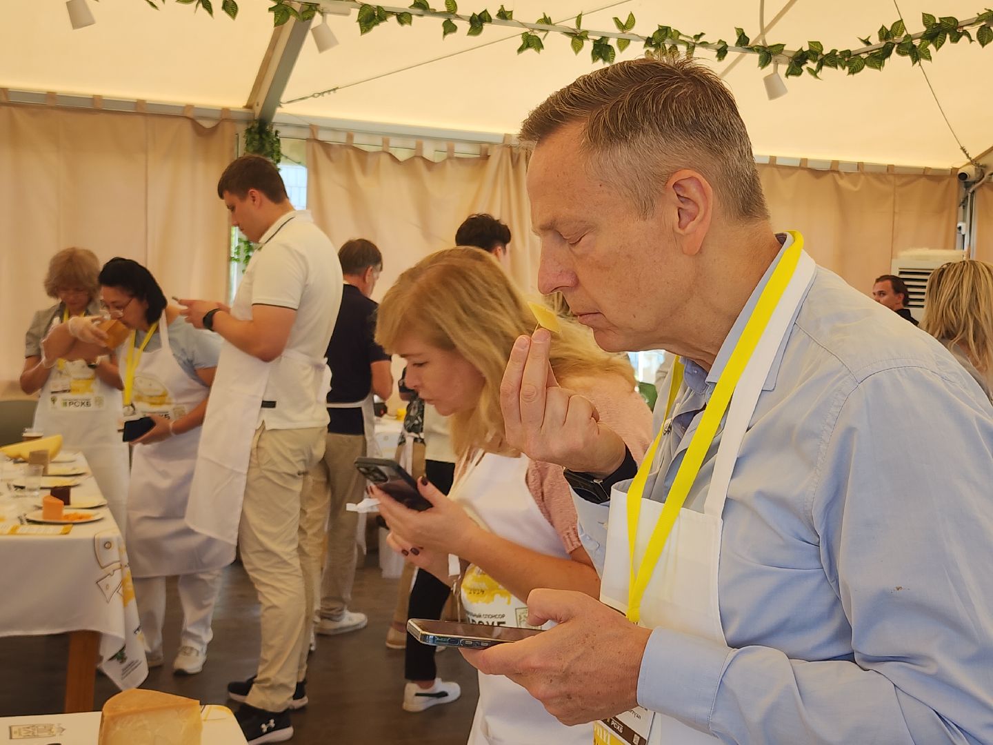 сыр, сыроварня, сырный фестиваль, российское производство,