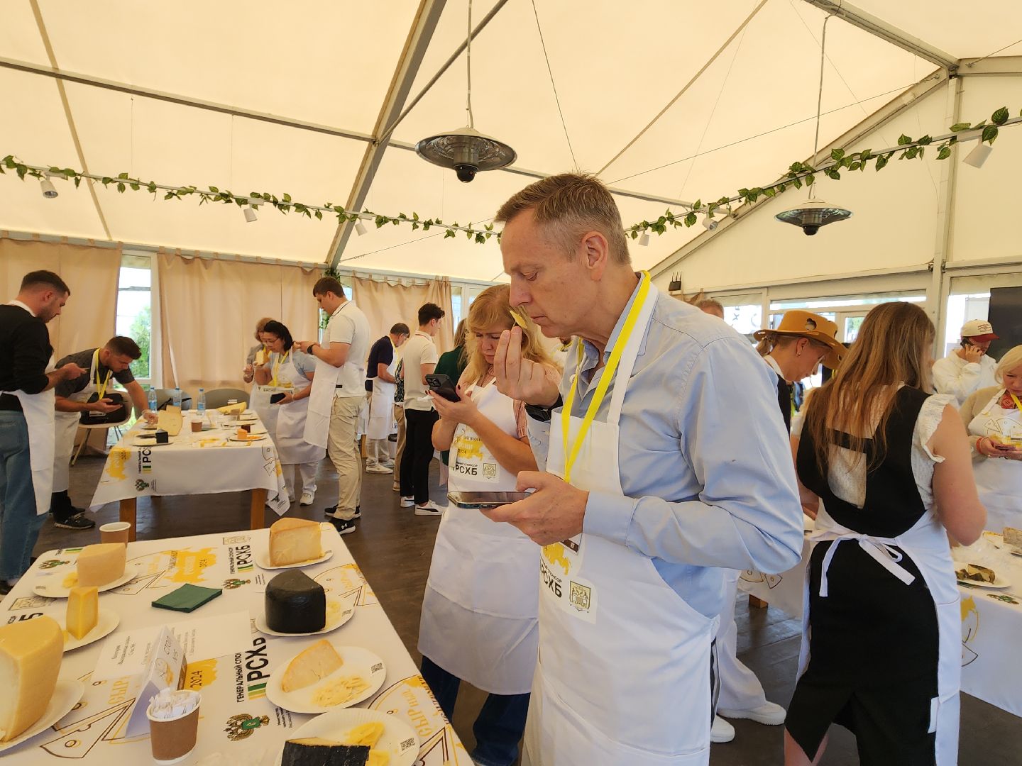 сыр, сыроварня, сырный фестиваль, российское производство,