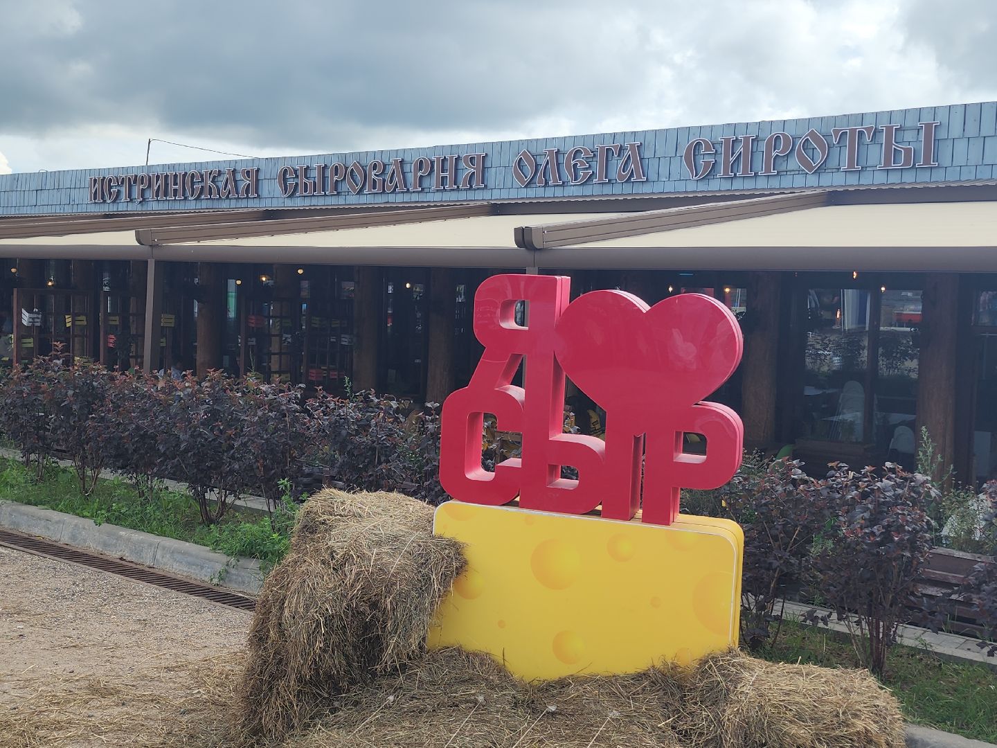 сыр, сыроварня, сырный фестиваль, российское производство,
