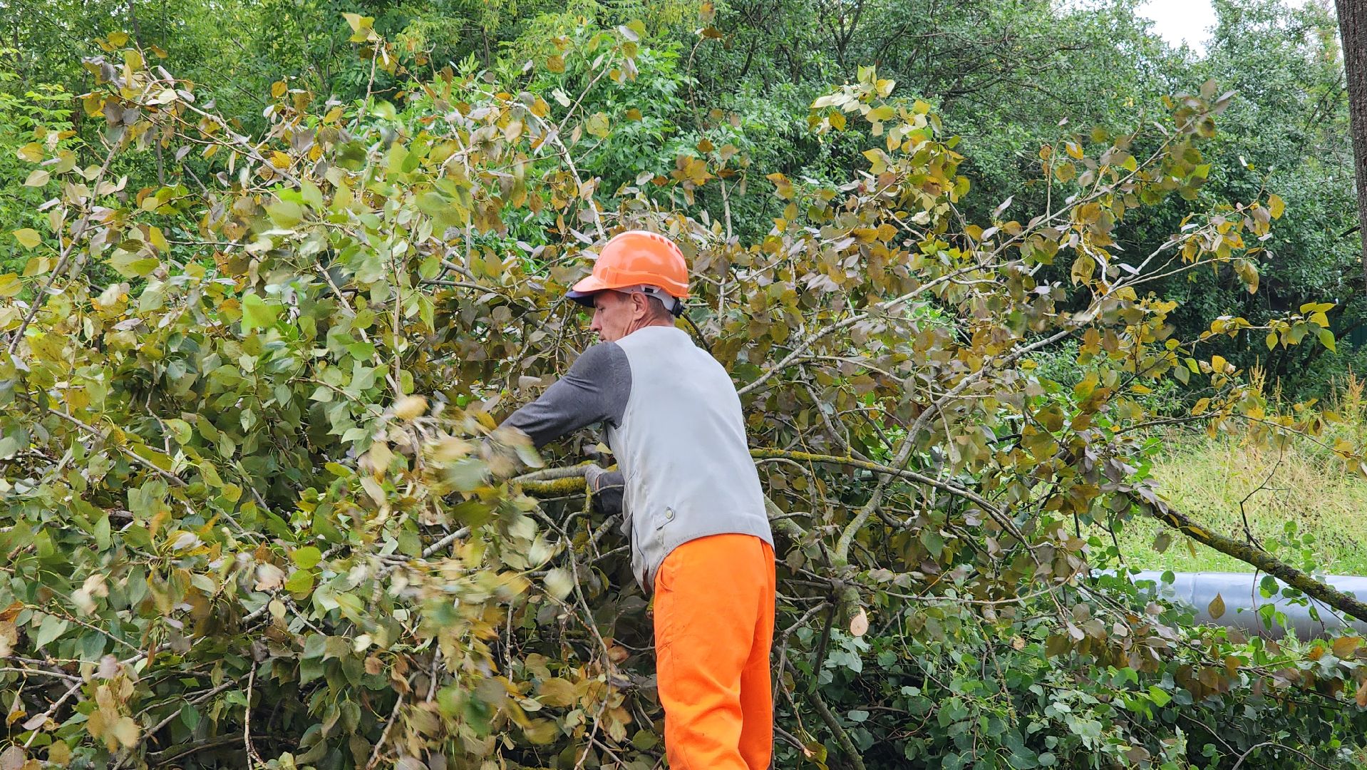 благоустройство, работа, служба дорожного хозяйства и благоустройства, Шатура, Большая Шатура,
