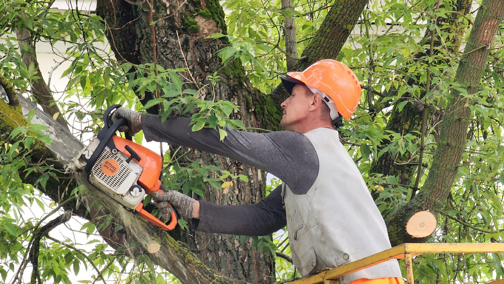 благоустройство, работа, служба дорожного хозяйства и благоустройства, Шатура, Большая Шатура,