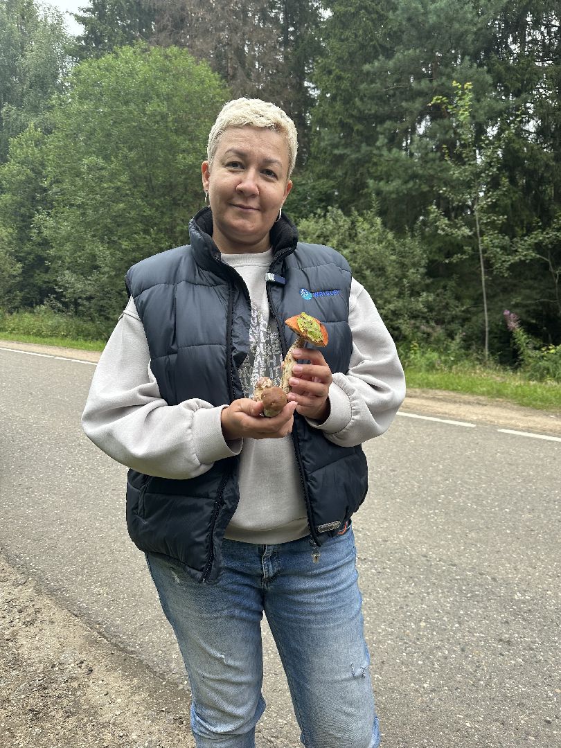 Истра, грибы в лесу,