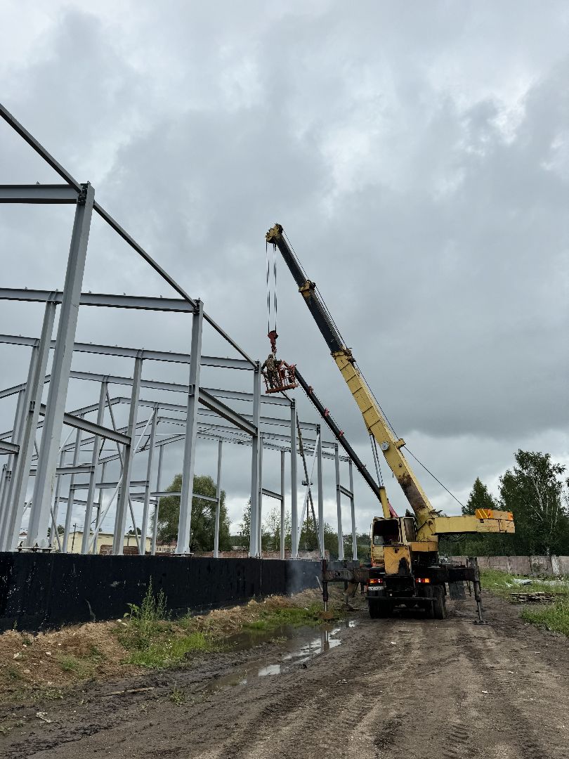 шаховская, завод, молоко, бизнес,