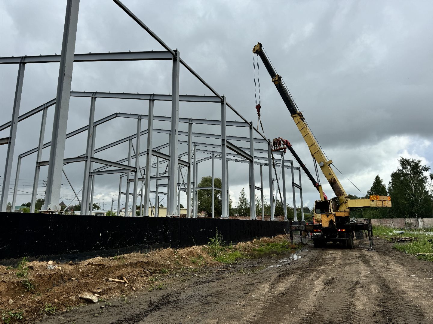 шаховская, завод, молоко, бизнес,