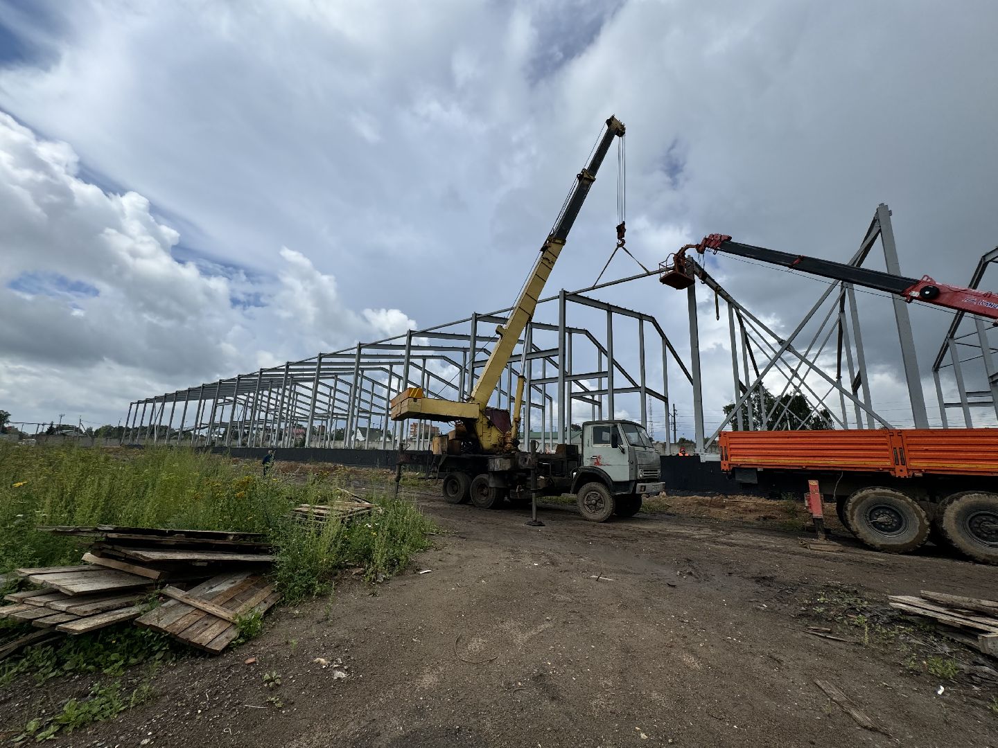 шаховская, завод, молоко, бизнес,