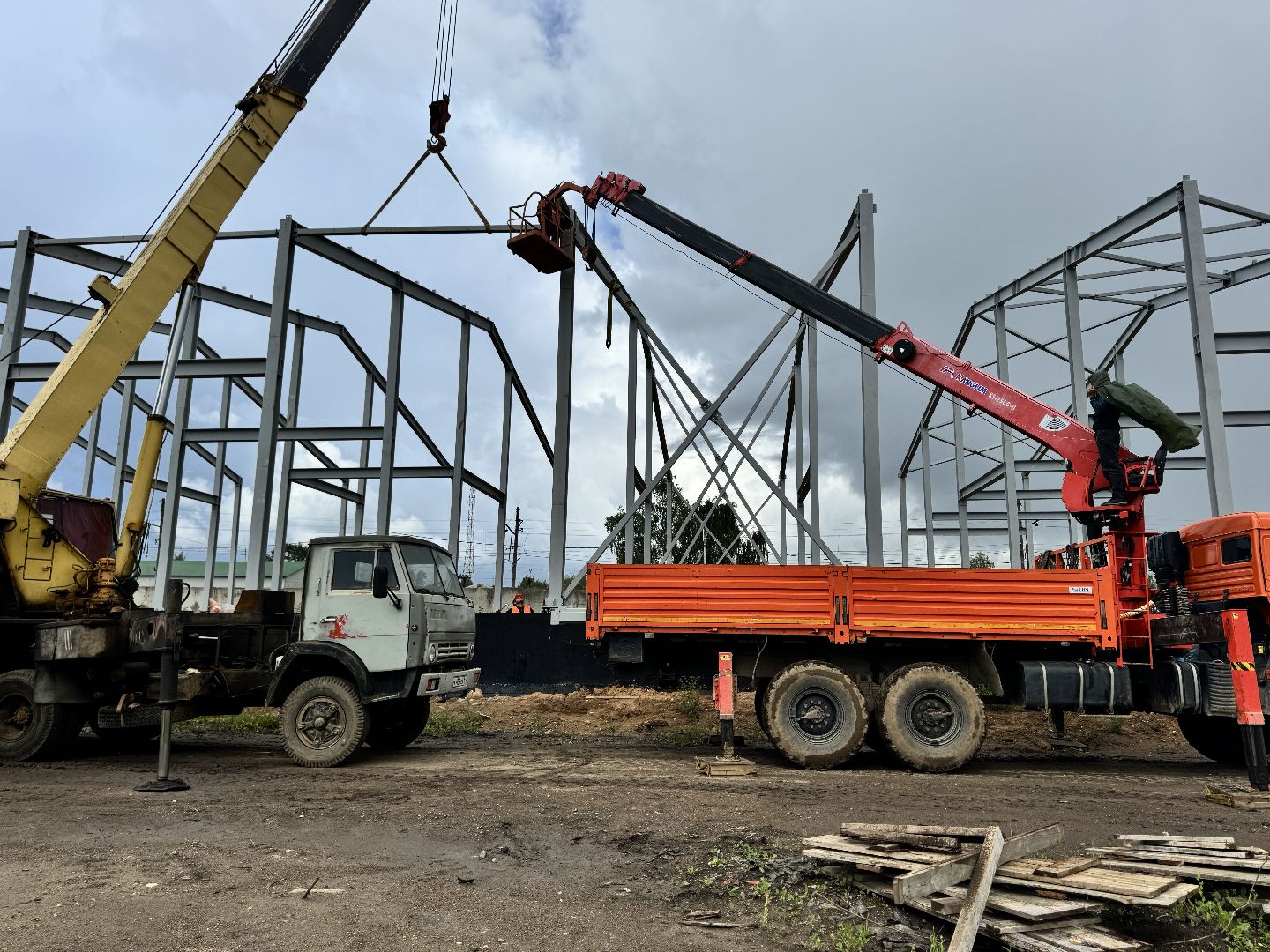 шаховская, завод, молоко, бизнес,