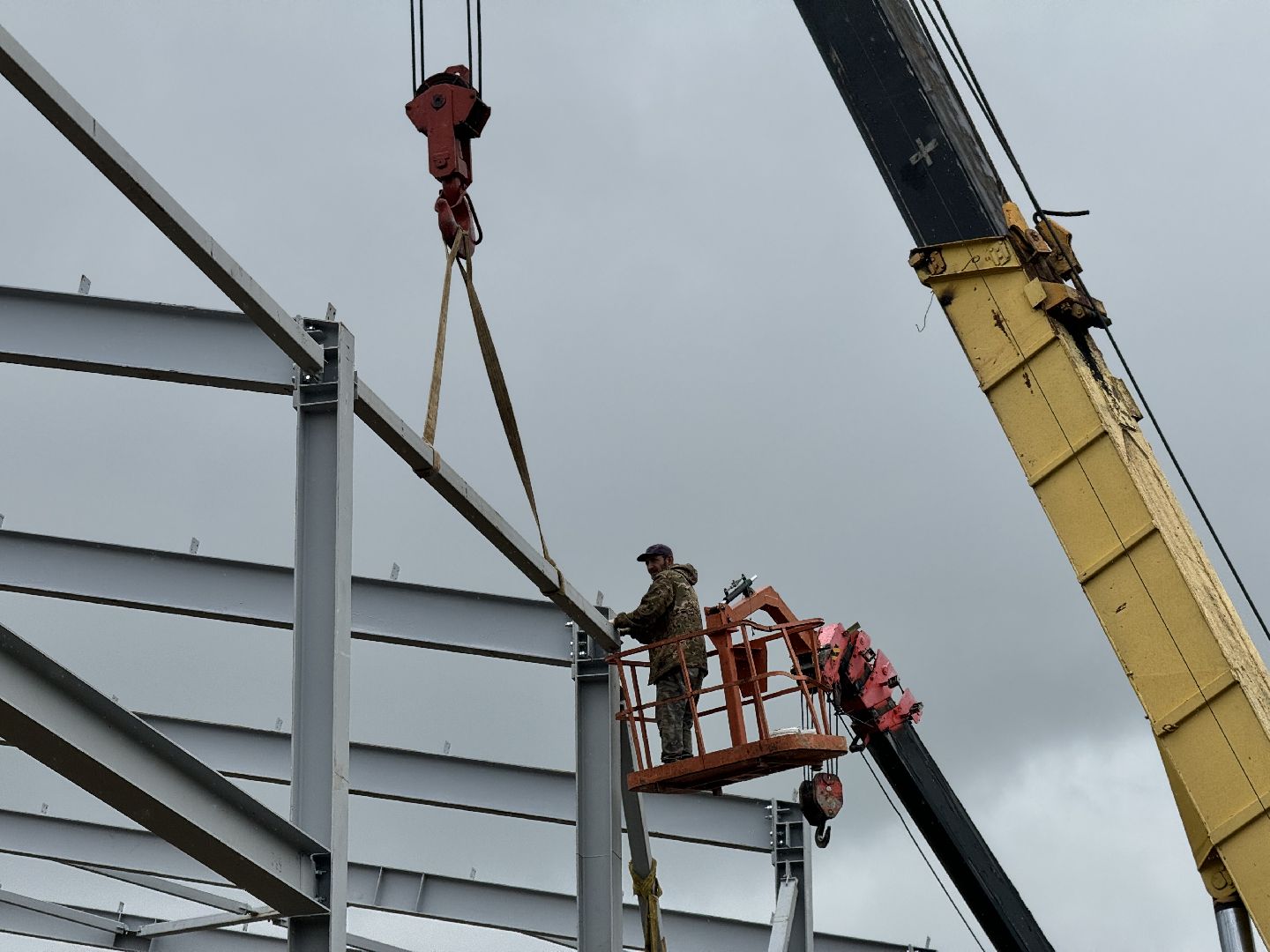 шаховская, завод, молоко, бизнес,