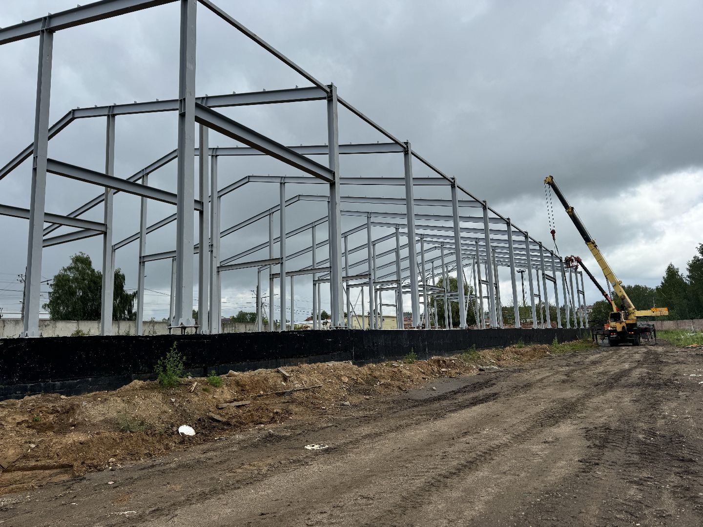 шаховская, завод, молоко, бизнес,