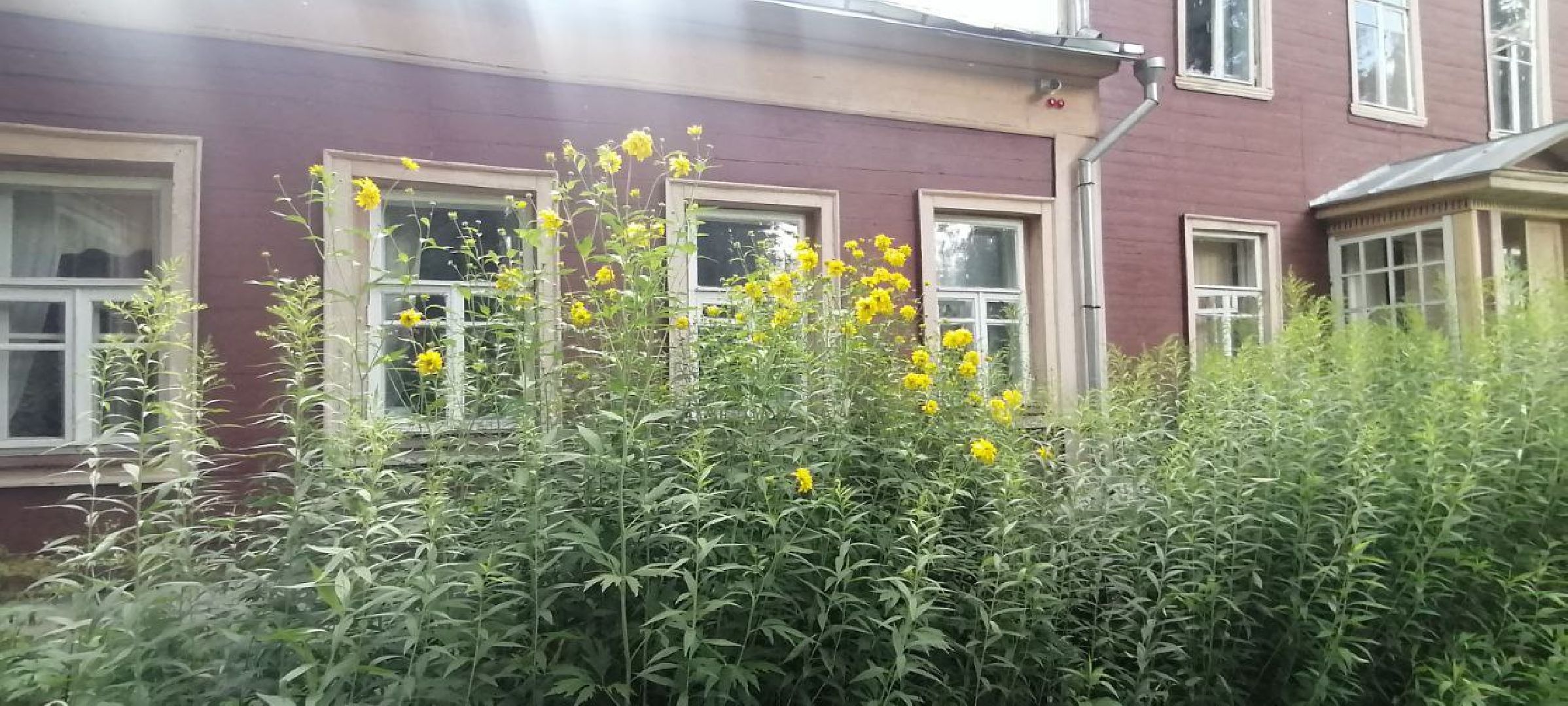 Жуковская ЦБС, библиотека, экскурсия, дом-музей, Н Е Жуковский, село Орехово, Владимирская область,