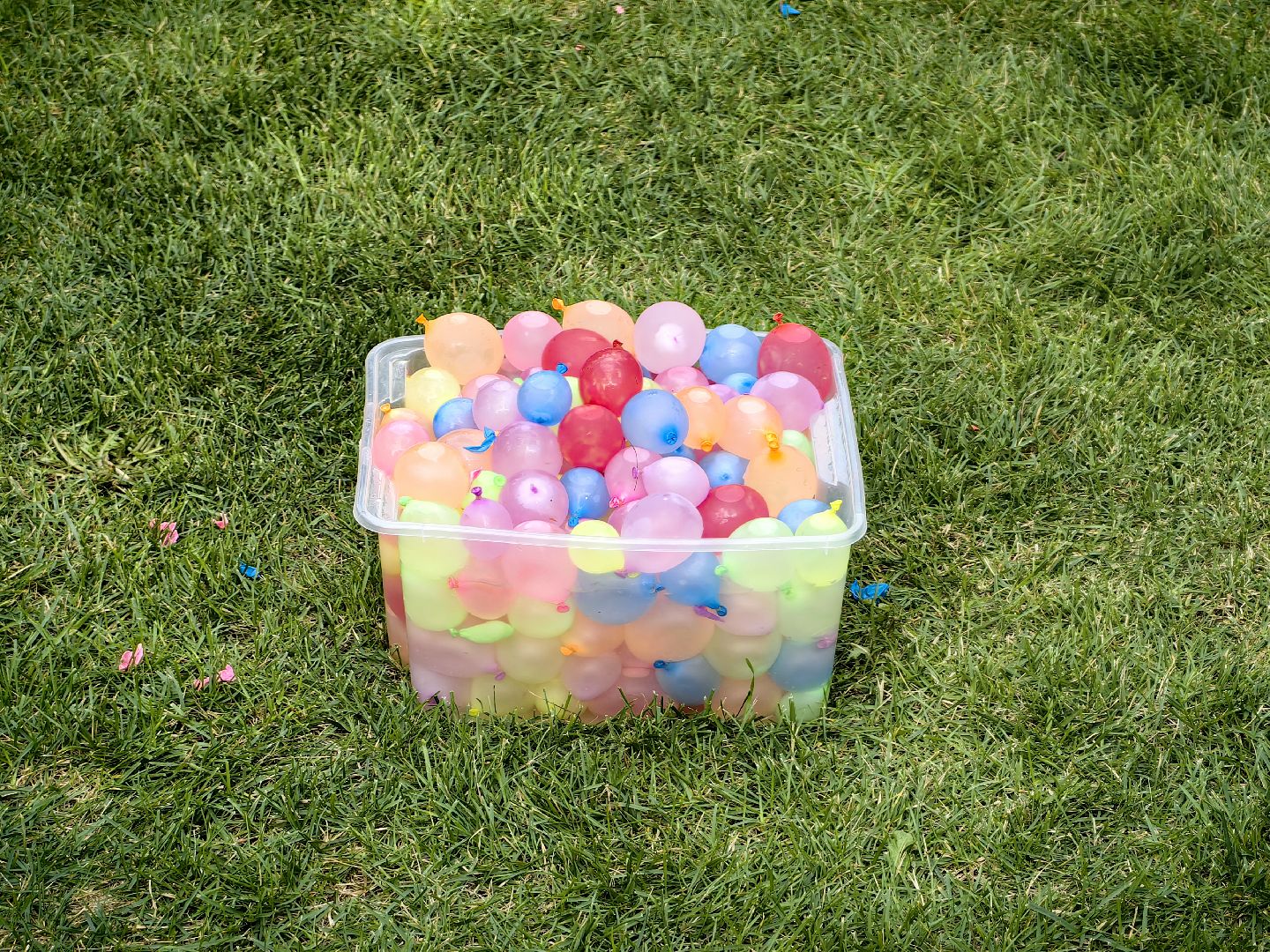 День Нептуна, пенная дискотека, парк, забавы, танцы, щёлково,