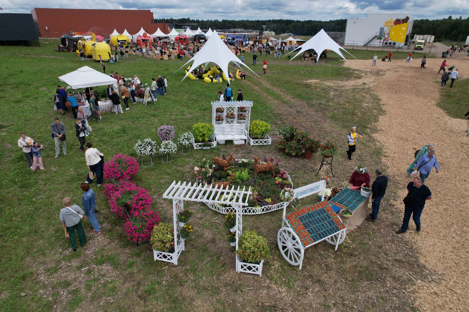 истра, видео с коптера, фестиваль, импортозамещение,