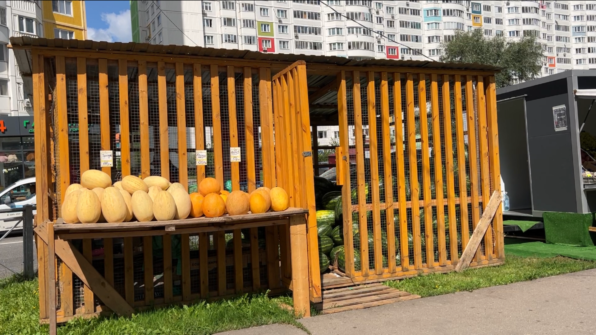 химки, общество, бахчевые развалы, арбуз,