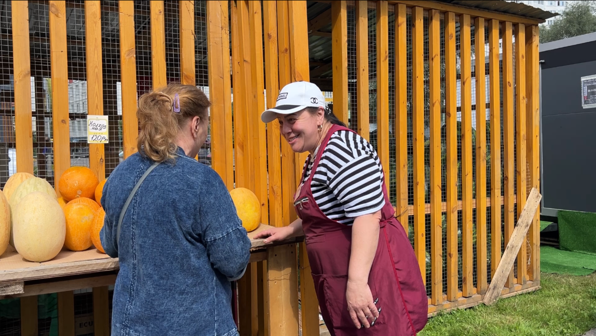 химки, общество, бахчевые развалы, арбуз,