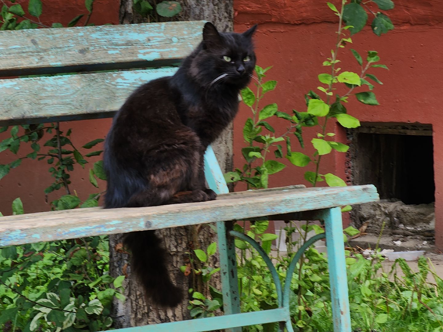 благоустройство дворов, благоустройство дворов в подмосковье, благоустройство дворовой территории, Благоустройство руза, Руза, рузский городской округ, московская область,