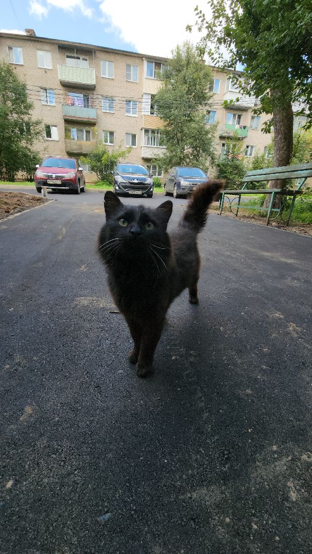 благоустройство дворов, благоустройство дворов в подмосковье, благоустройство дворовой территории, Благоустройство руза, Руза, рузский городской округ, московская область,